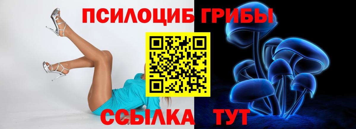 Галлюциногенные грибы прущие грибы Кострома